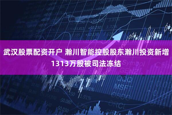 武汉股票配资开户 瀚川智能控股股东瀚川投资新增1313万股被司法冻结