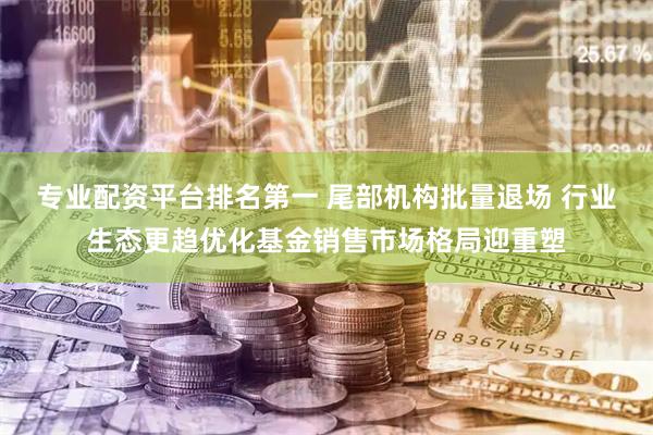 专业配资平台排名第一 尾部机构批量退场 行业生态更趋优化基金销售市场格局迎重塑