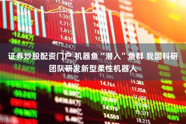 证券炒股配资门户 机器鱼“潜入”鱼群 我国科研团队研发新型柔性机器人